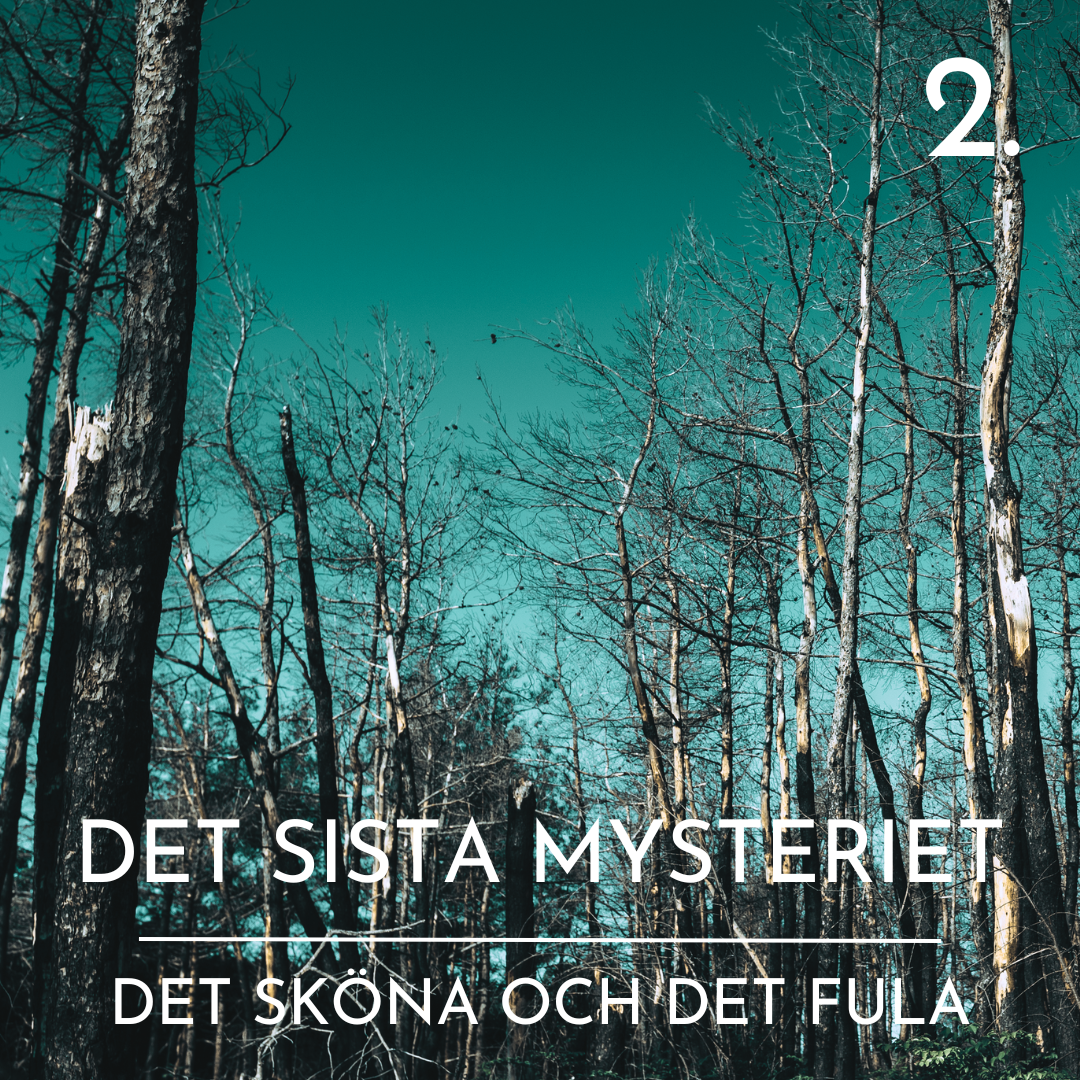 Det sista mysteriet